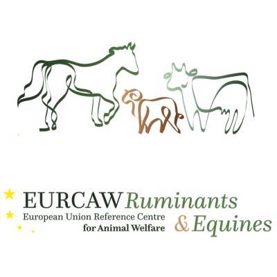 EURCAW RU Y EQ