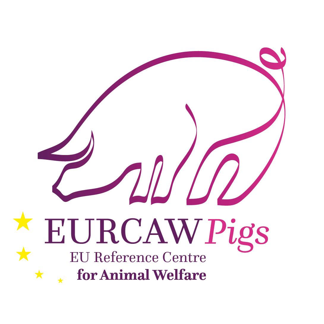 LOGO EURCAW PIGS