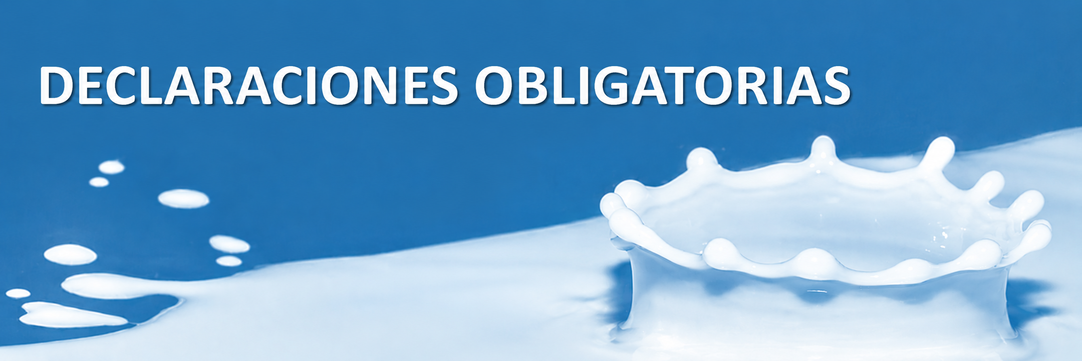 Acceso-a-Declaraciones-obligatorias