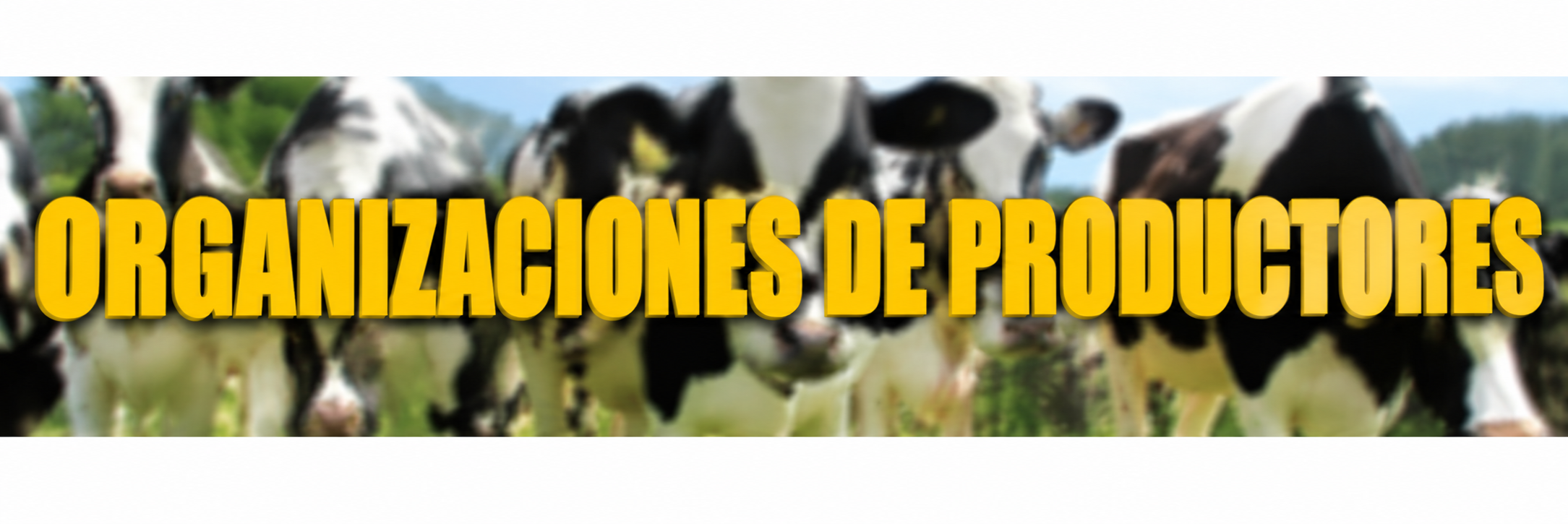 Enlace a organizaciones de productores
