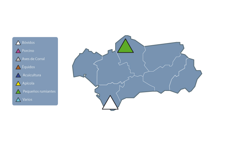 Mapa de acceso a las experiencias