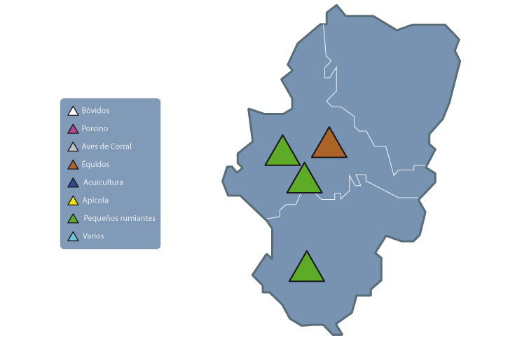 Mapa de acceso a las experiencias