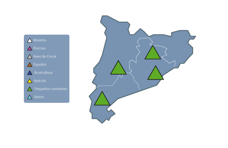 Mapa de acceso a las experiencias