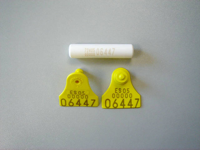 Minibolo y crotales Cromasa