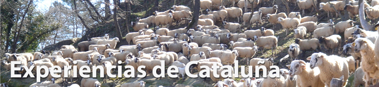Experiencias de Cataluña