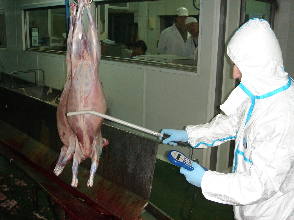 Control de minibolo en matadero