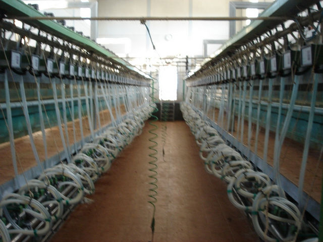 Sala de ordeño Mula