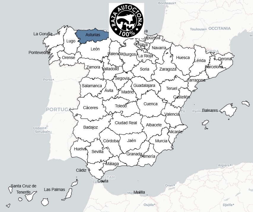 mapa_con_logo_bermeya