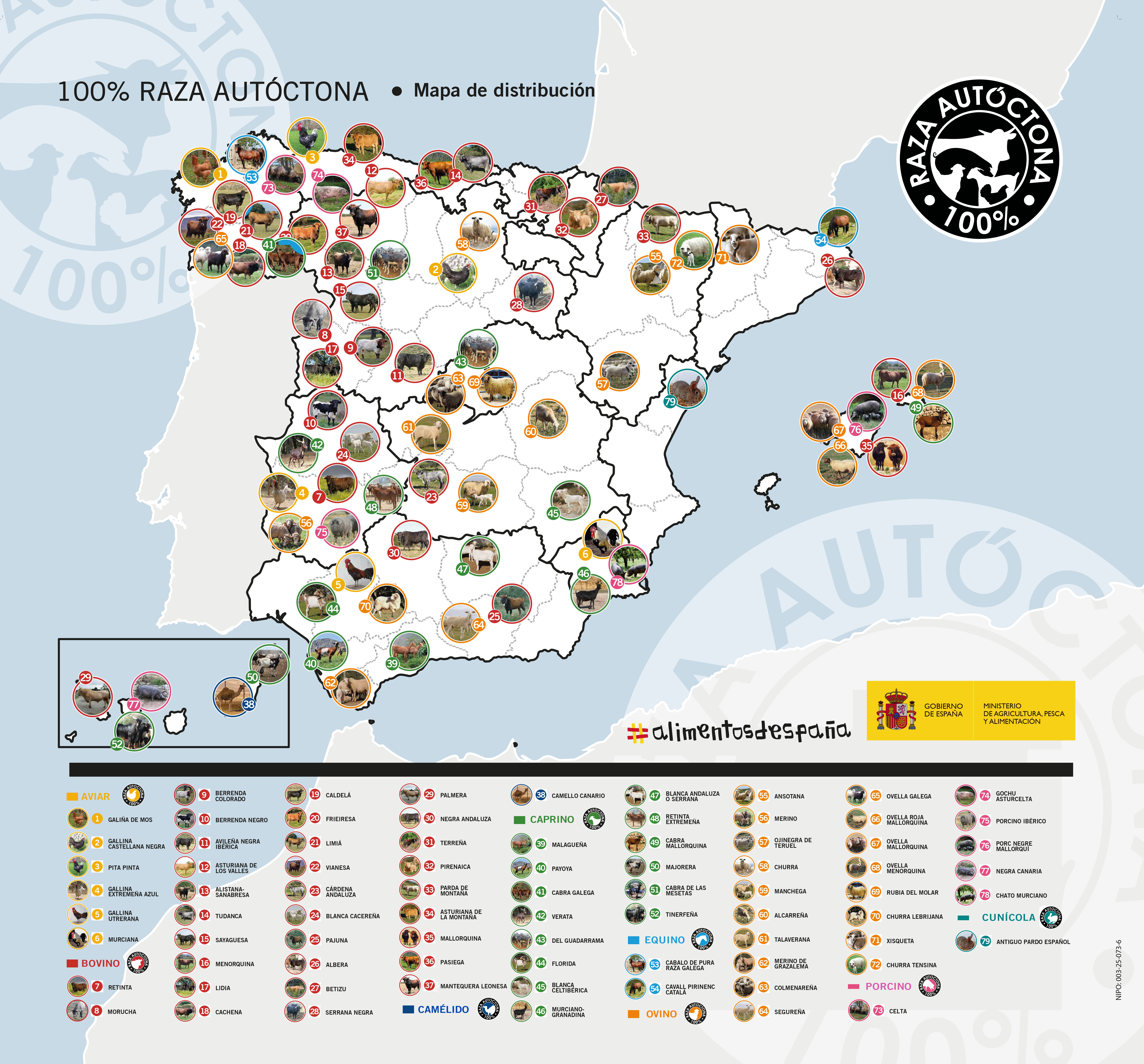 Mapa 79 razas logotipo 100% Raza autoctona