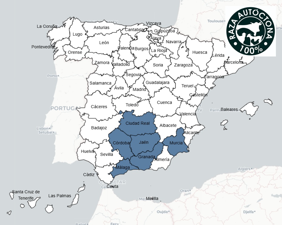 Mapa logotipo 100% Raza Autóctona oveja Montesina