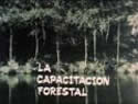 Fotograma del documental: La capacitación forestal