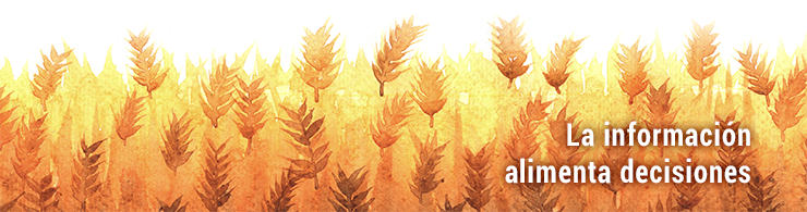 Para banner web cereal