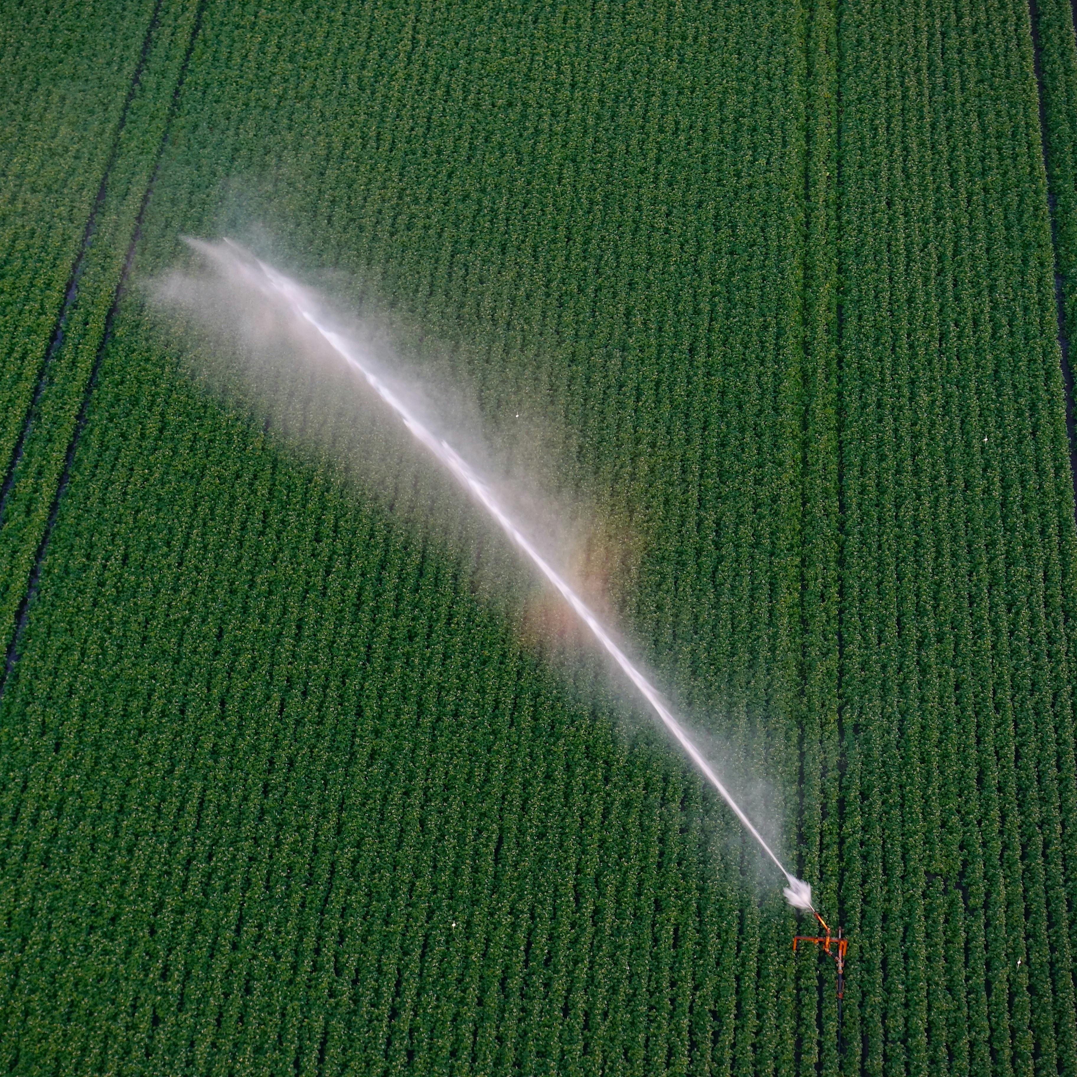 regadio desde el cielo - copia