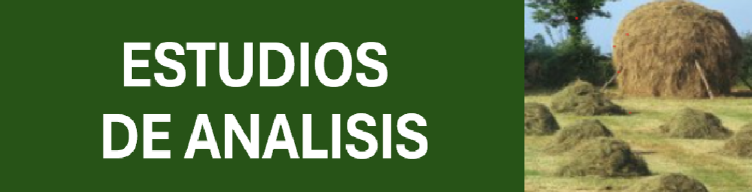 Carrusel Estudios Análisis