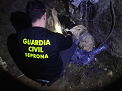 2016/02/24 img peque La Guardia Civil investiga al propietario de dos perros muertos por supuesto ahorcamiento