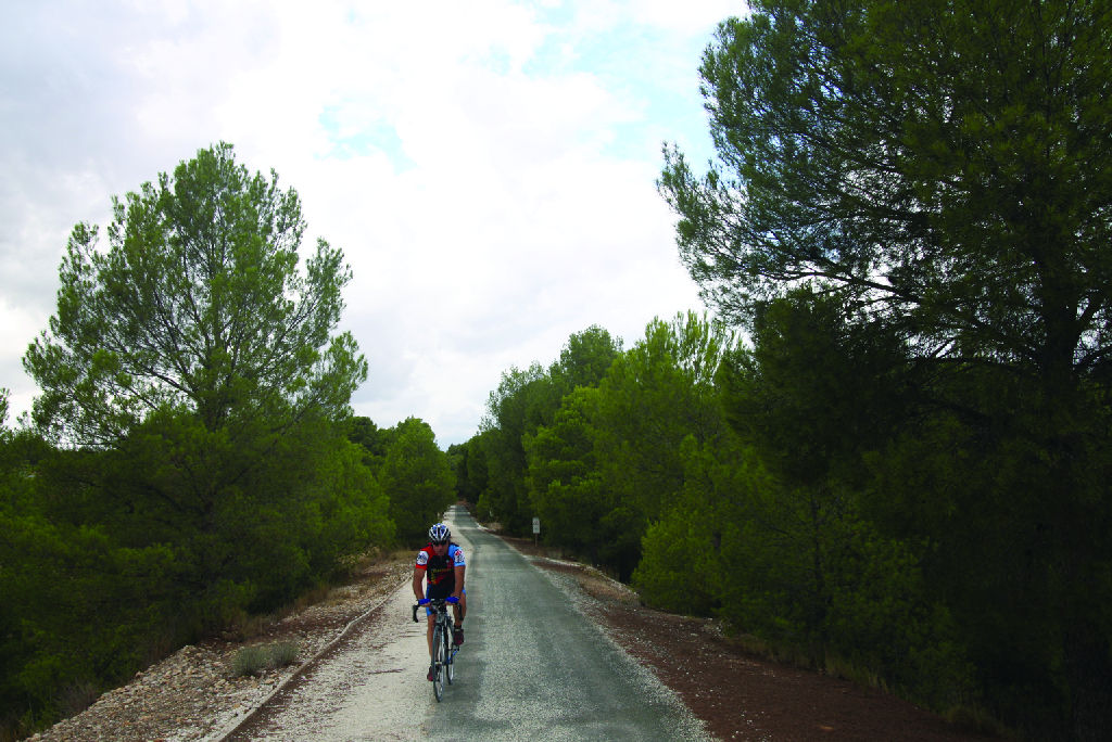 Ciclista recorriendo la via por los pinares cercanos a Cehegín