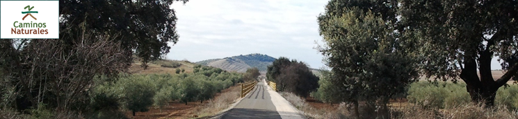 Camino Natural Vía Verde del Aceite. Tramo Moriles - Campo Real 