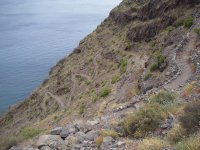 El camino desciende serpenteante por las laderas del Barranco de la Rajita