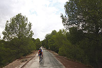 Ciclista recorriendo la via por los pinares cercanos a Cehegín