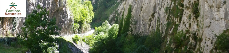 Camino Natural de la Senda del Oso. Tramo Entrago - Cueva Huerta