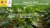 Nota técnica sobre el seguro de explotaciones de hortalizas bajo cubierta, en la Península y en la Comunidad Autónoma de las Illes Balears.