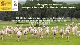 Nota técnica sobre el seguro de explotación de ganado ovino y caprino.