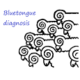 BT Diagnosis
