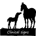 Clinical signs