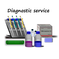 Diagnostic service
