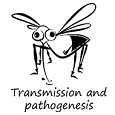 Transmission and pathogenesis