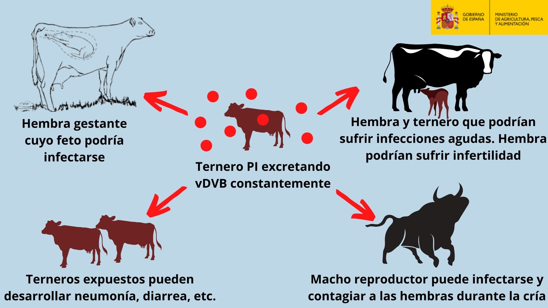Diarrea Viral Bovina