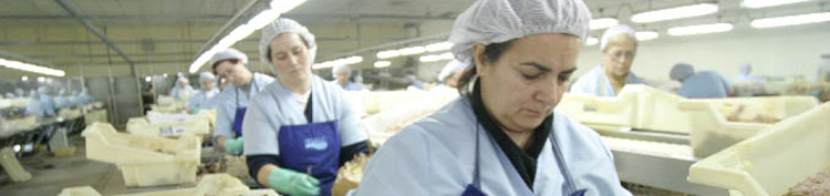Mujeres trabajando en una fábrica de conservas