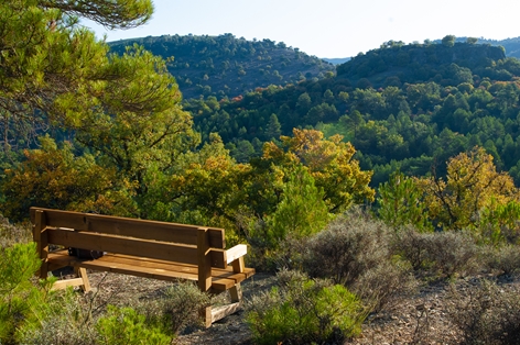 Bench in panoramic views of the Nature Trail