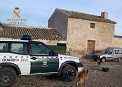 La Guardia Civil inmoviliza 300 cabezas de ganado ovino y caprino contagiadas con sarna