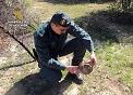 La Guardia Civil ha detenido e investigado a cuatro personas por el uso de venenos y trampas ilegales para cazar