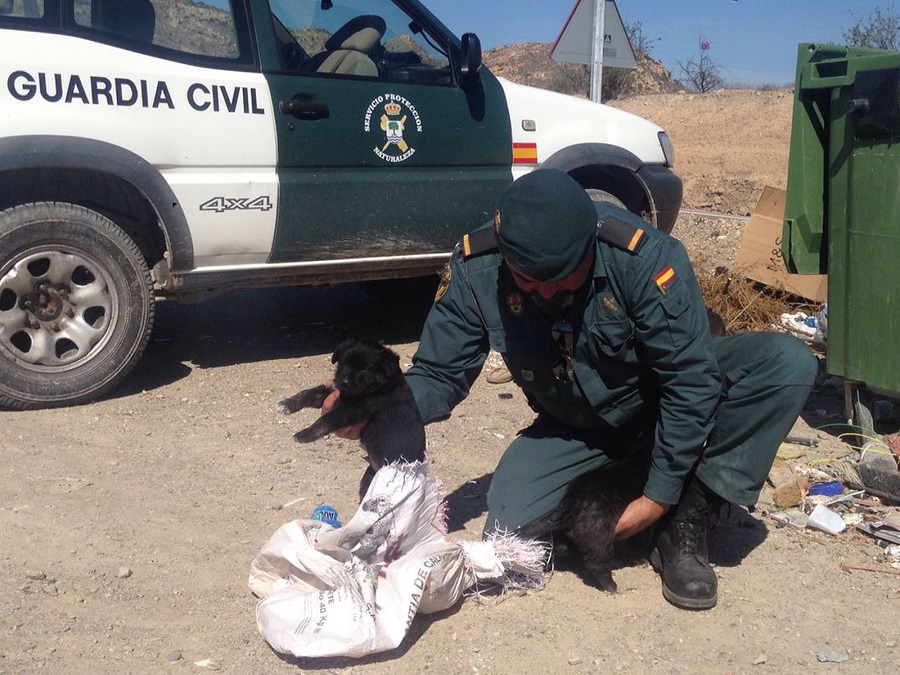 La Guardia Civil rescata a 6 cachorros que habían arrojado a un contenedor de basura