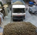 Intervenidos 14.000 kilogramos de piñas obtenidas ilegalmente