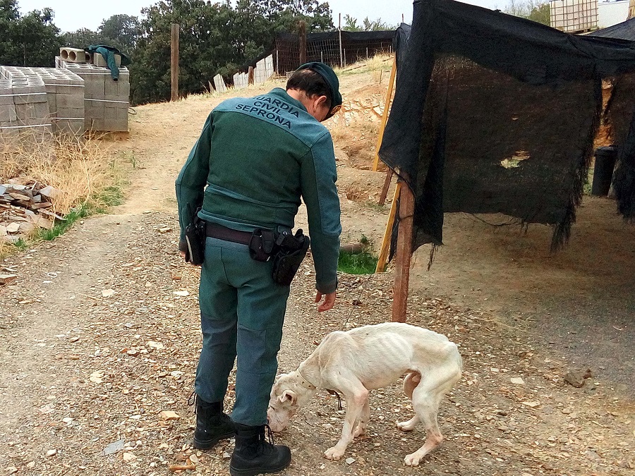 La Guardia Civil investiga a una persona por un delito de maltrato animal