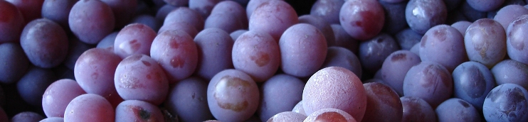 imagen uvas tintas