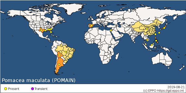 pomacea map distribution eppo 2019