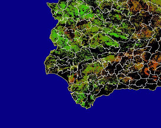 Imagen de NDVI medio secano: Índices de vegetación medios del mes para las zonas de cultivos de secano y pastizales - Suroeste