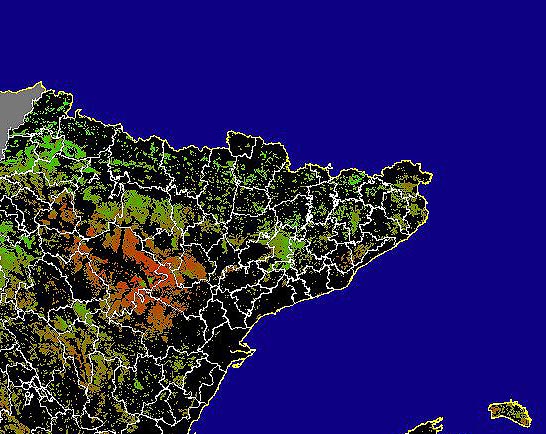 Imagen de NDVI medio secano: Índices de vegetación medios del mes para las zonas de cultivos de secano y pastizales
