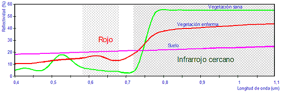 Gráfica de los valores de reflectividad del suelo, vegetación enferma y vegetación en función de la longitud de onda.