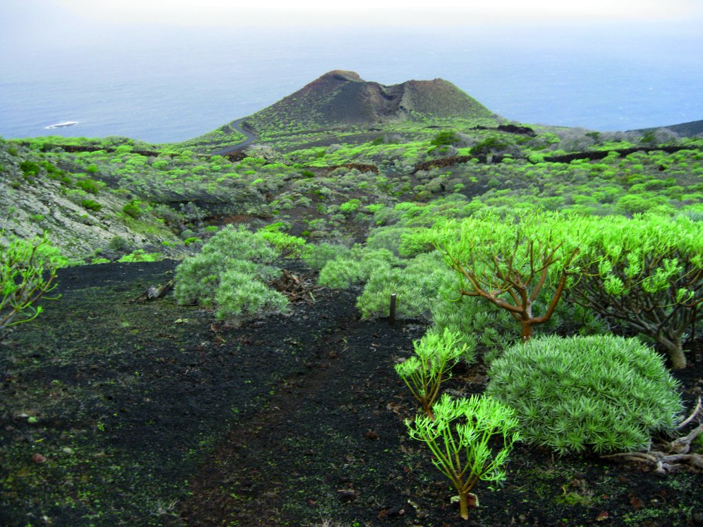 Zona volcánica con abundante vegetación de matorral