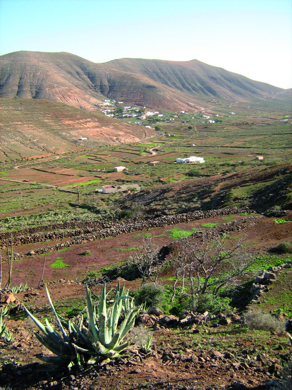 Pueblo de Vallebrón y campos de cultivo en gavias