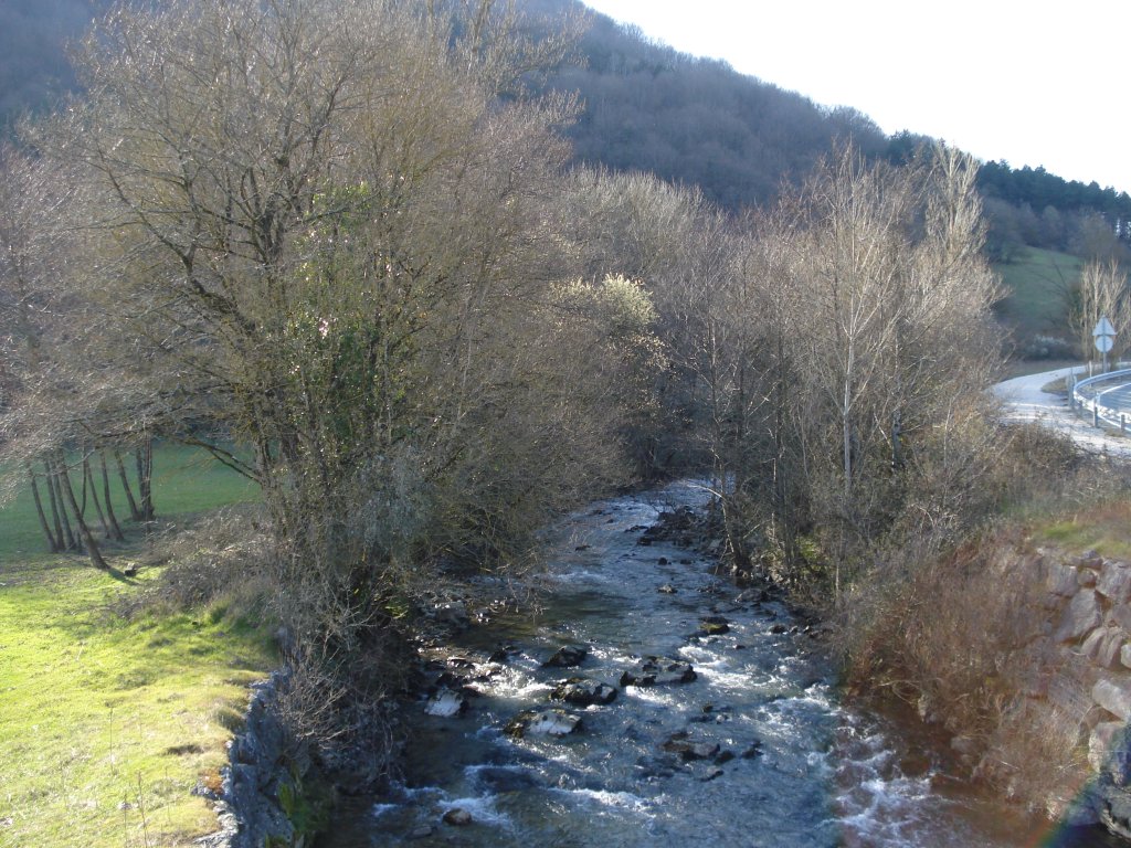 Típica vegetación de ribera del río Larraun a su paso por Urritza