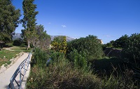 El Ramal de Benifairó comienza siendo un sendero junto al río Vaca