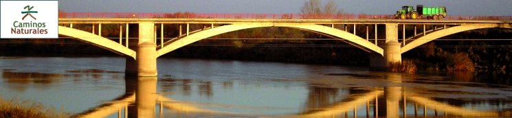 Etapa 28.1: Pina de Ebro - Gelsa