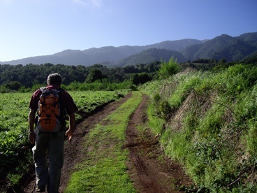 Camino Natural de La Palma