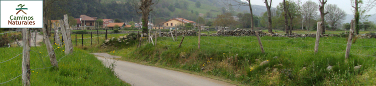 Camino Natural del Valle de Toranzo